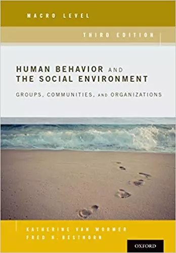 Human Behavior and the Social Environment, Macro Level: Groups, Communities, and Organizations (3rd Edition) - eBook