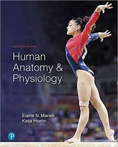 Human Anatomy & Physiology (11th Edition) - eBook