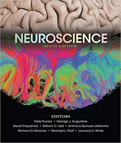 Neuroscience (6th Edition) - eBook