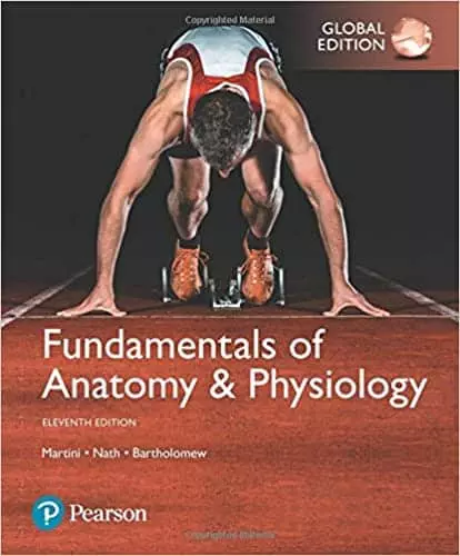 Fundamentals of Anatomy & Physiology (Global-11th Edition) - eBook