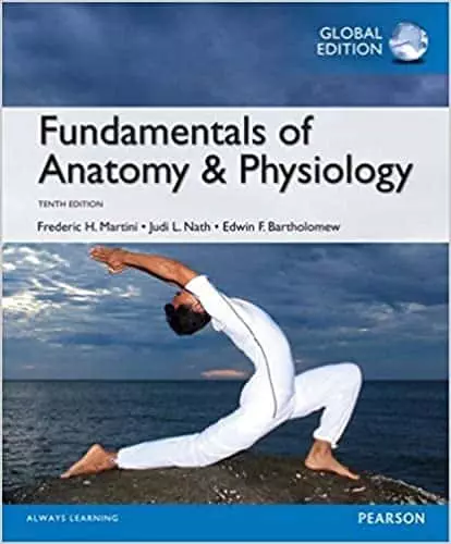 Fundamentals of Anatomy and Physiology (Global-10th Edition) - eBook