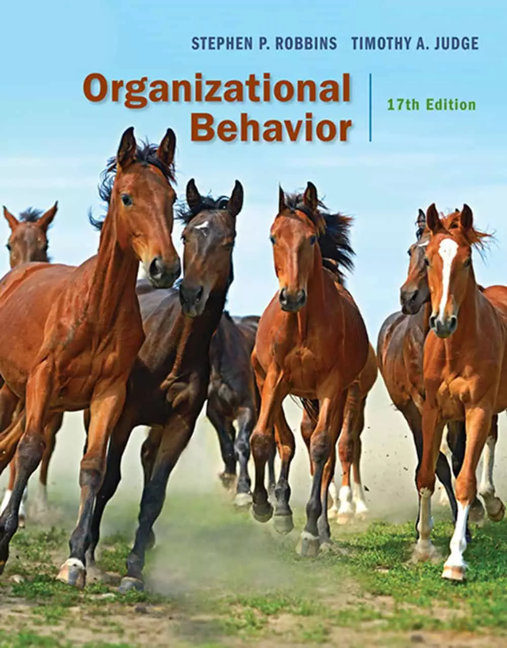 Organizational Behavior (17th Edition) - eBook
