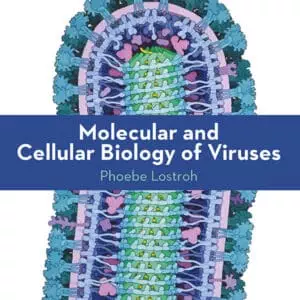 Molecular and Cellular Biology of Viruses - eBook