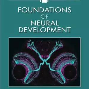 Foundations of Neural Development - eBook