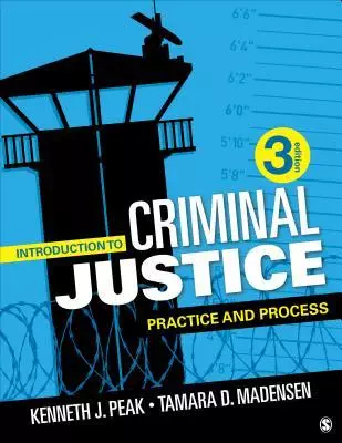 Introduction to Criminal Justice: Practice and Process (3rd Edition) - eBook