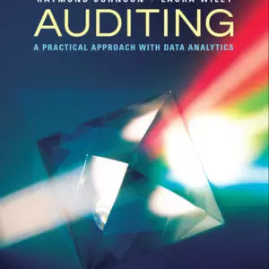 Auditing: A Practical Approach with Data Analytics - eBook