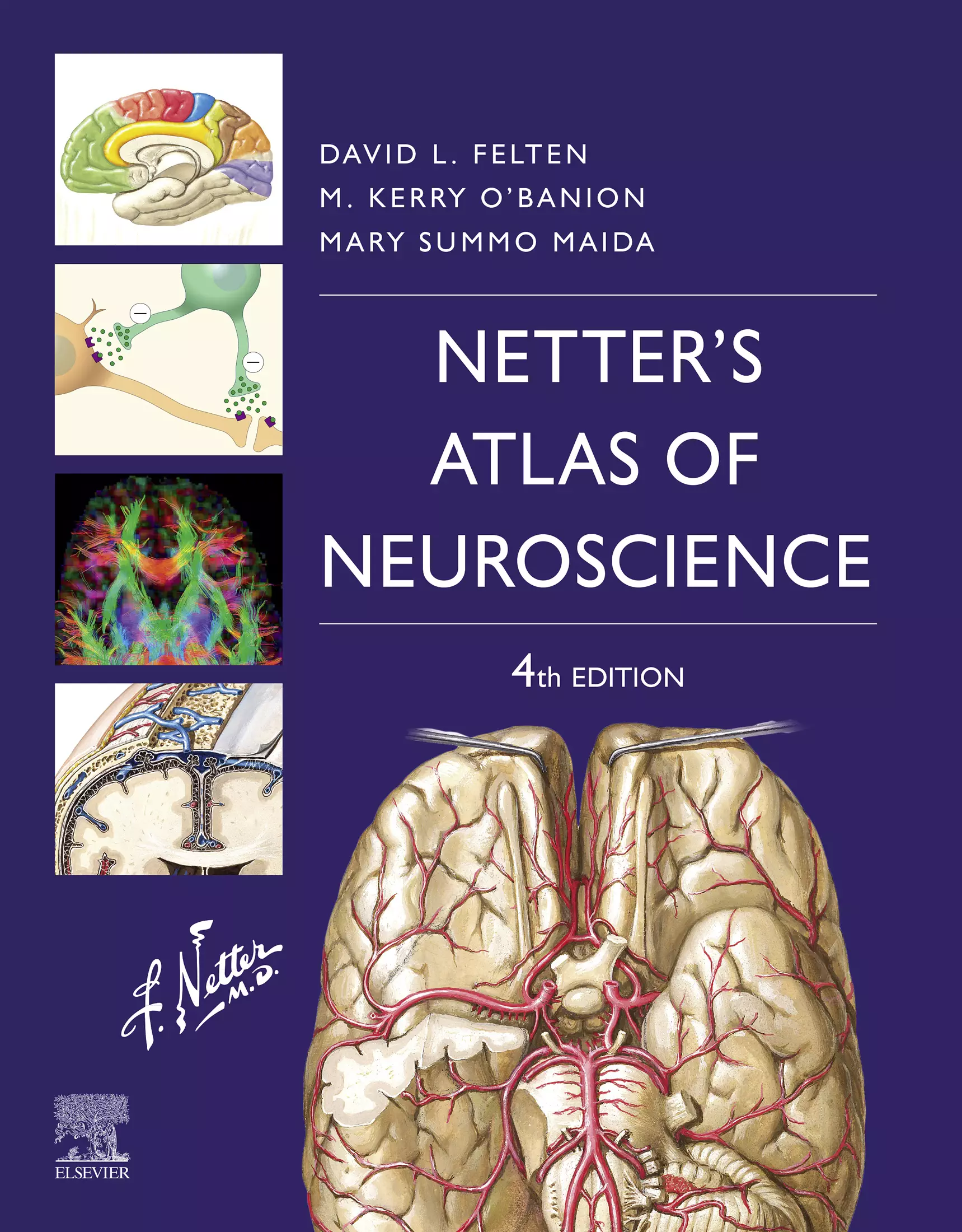 Netter's Atlas of Neuroscience (4th Edition) - eBook