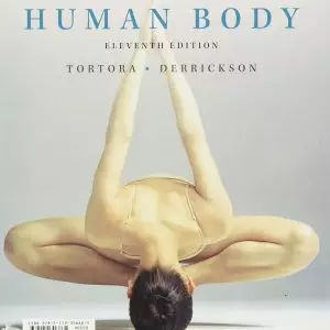 Introduction to the Human Body (11th Edition) - eBook