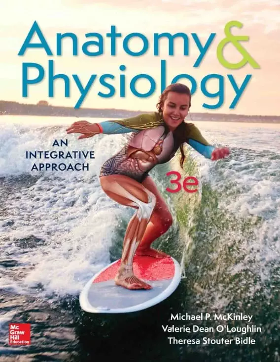 anatomy and physiology 3e