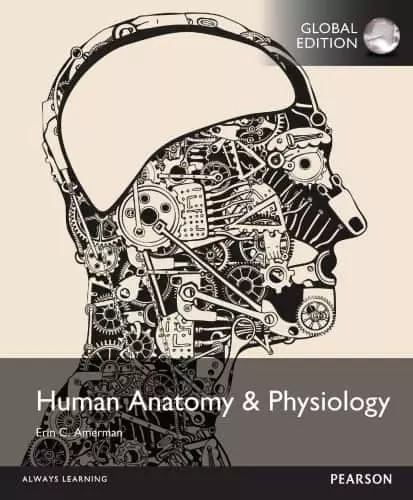 human anatomy and phsyiology 2nd global