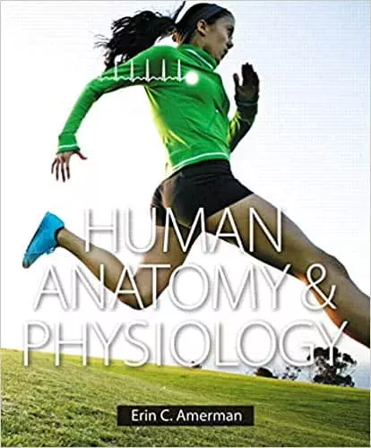 human anatomy and phsyiology global