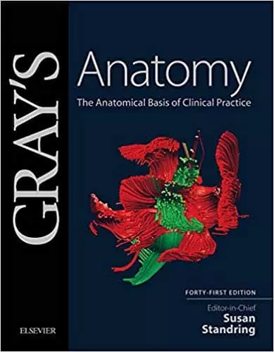 Gray's Anatomy: The Anatomical Basis of Clinical Practice (41st Edition) - eBook