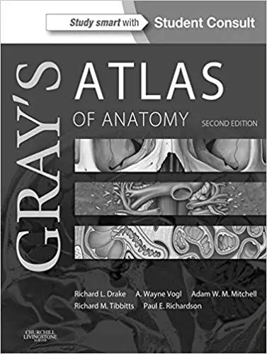 Gray's Atlas of Anatomy (2nd Edition) - eBook