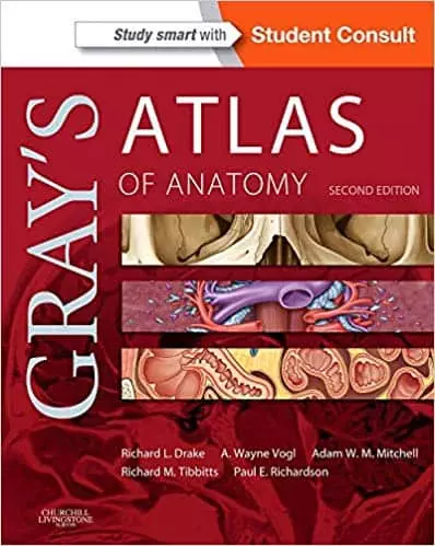 grays atlas of anatomy 2e