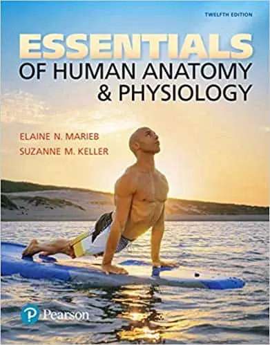 Essentials of Human Anatomy & Physiology (12th Edition) - eBook