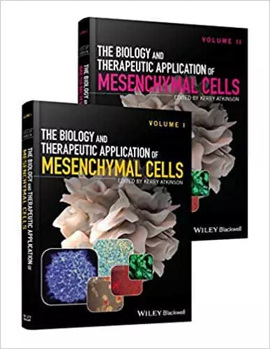 The Biology and Therapeutic Application of Mesenchymal Cells - eBook