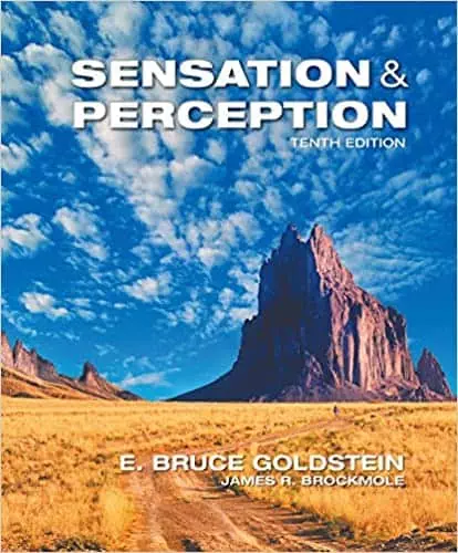 Sensation and Perception (10 Edition) - eBook