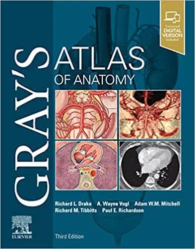 Gray's Atlas of Anatomy (3rd Edition) - eBook