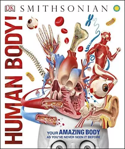 Human Body! - eBook