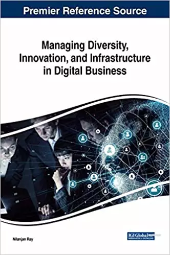 Managing Diversity, Innovation, and Infrastructure in Digital Business - eBook