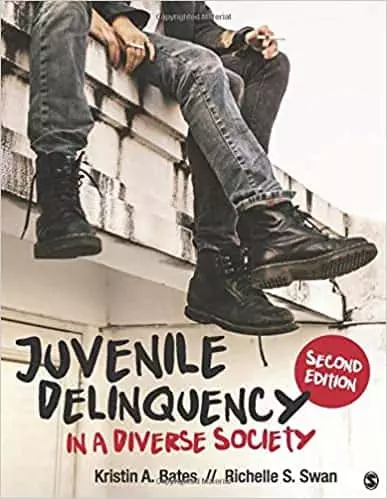 Juvenile Delinquency in a Diverse Society (2nd Edition) - eBook