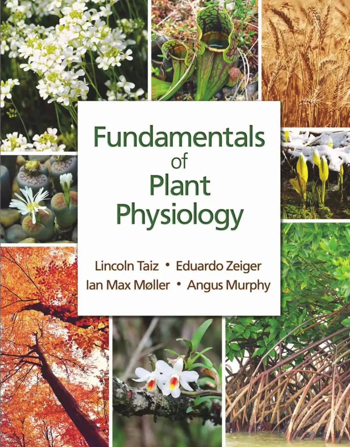 Lincoln Taiz - Fundamentals of Plant Physiology - PDF