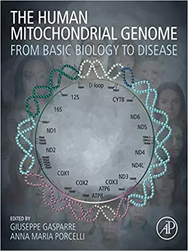 The Human Mitochondrial Genome: From Basic Biology to Disease - eBook