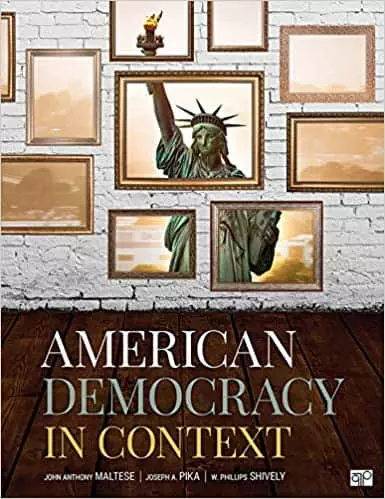 American Democracy in Context - eBook