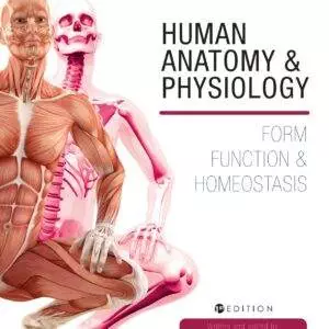 Human Anatomy and Physiology: Form, Function and Homeostasis - eBook