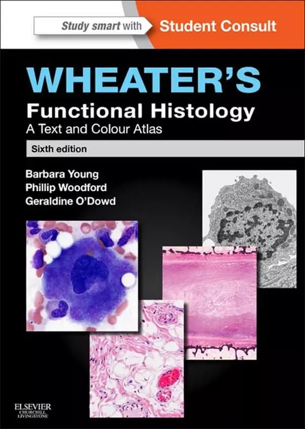 Wheater's Functional Histology: A Text and Colour Atlas (6th Edition) - eBook