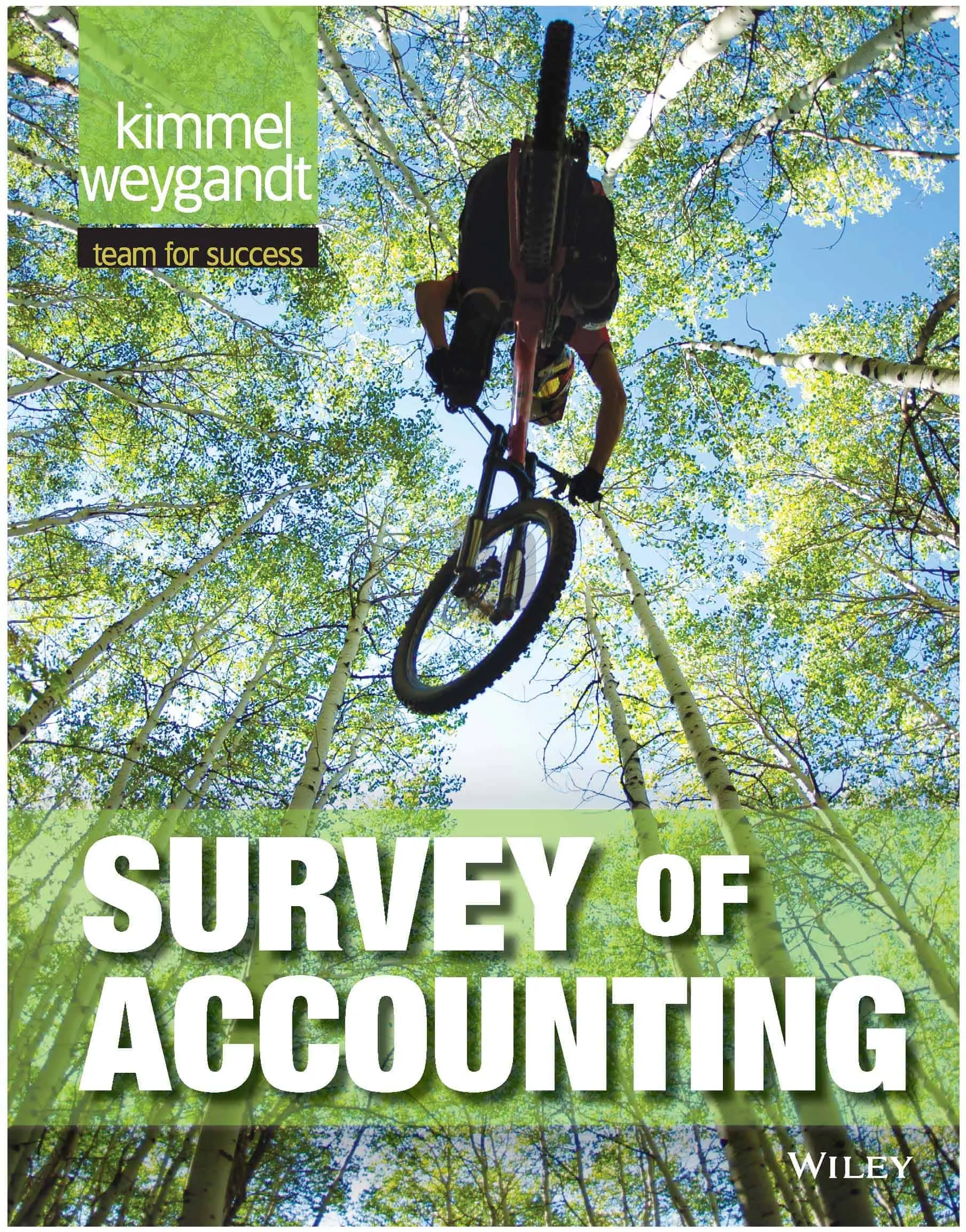 Survey of Accounting - eBook