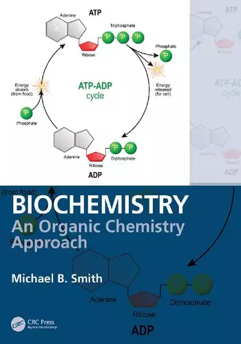 Biochemistry: An Organic Chemistry Approach - eBook