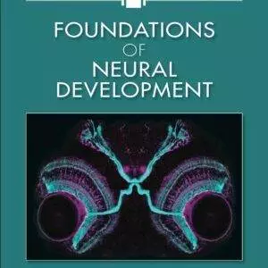 Foundations of Neural Development - eBook