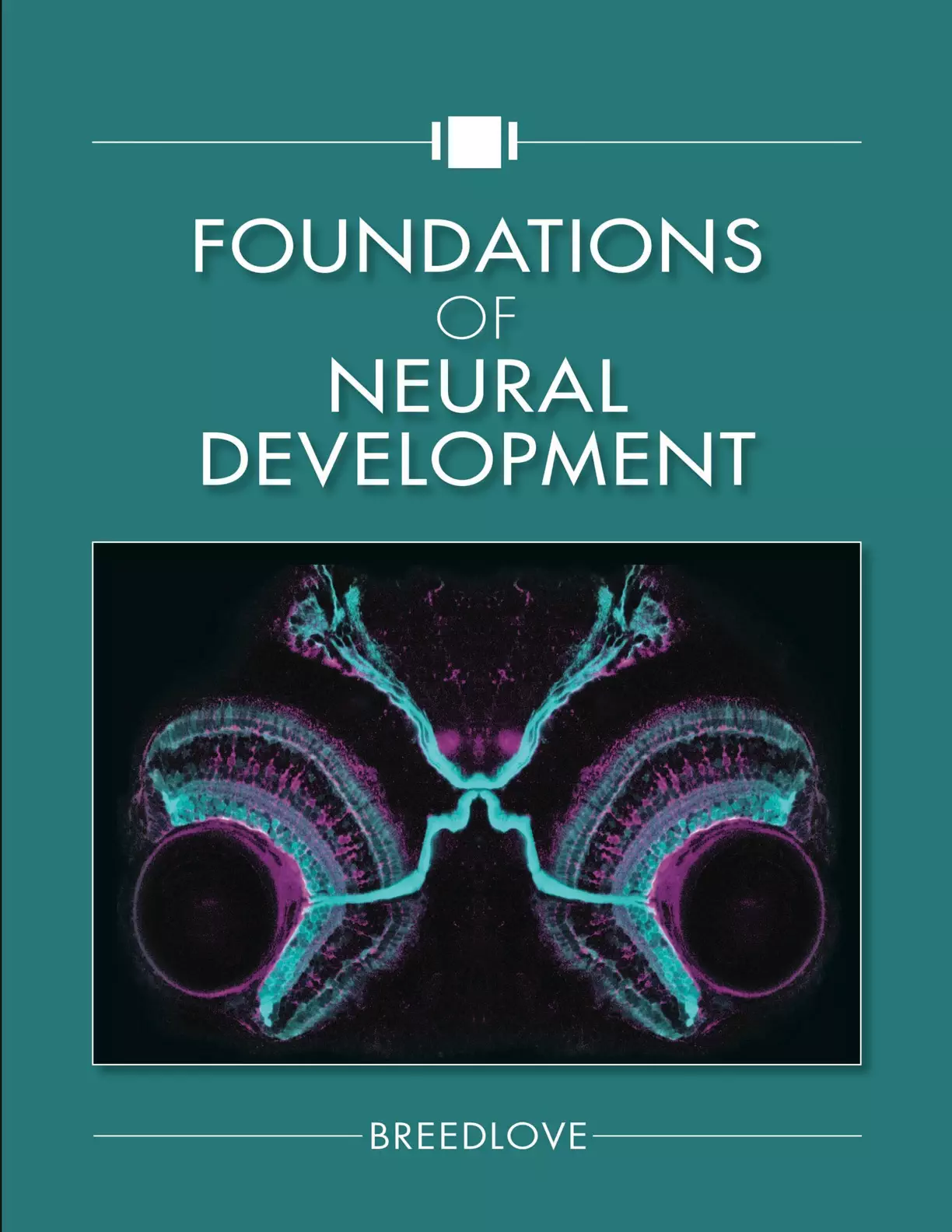 Foundations of Neural Development - eBook