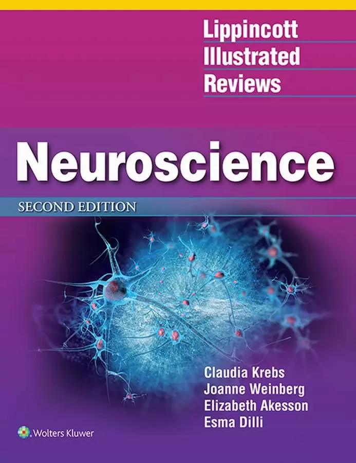 Lippincott Illustrated Reviews: Neuroscience (2nd Edition) - eBook