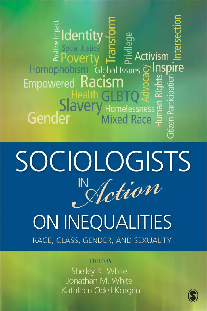 Sociologists in Action on Inequalities: Race, Class, Gender, and Sexuality - eBook