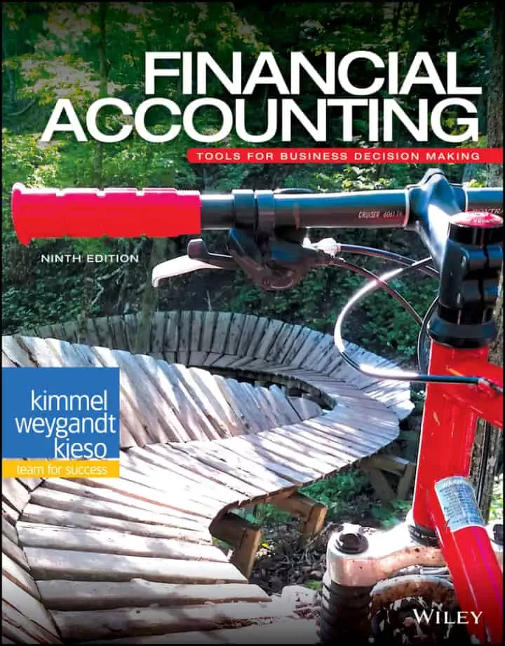 Financial Accounting: Tools for Business Decision Making (9th Edition) - eBook