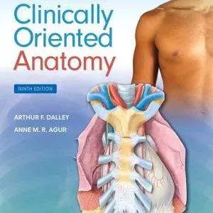 Moores-Clinically-Oriented-Anatomy-9th-Edition-pdf