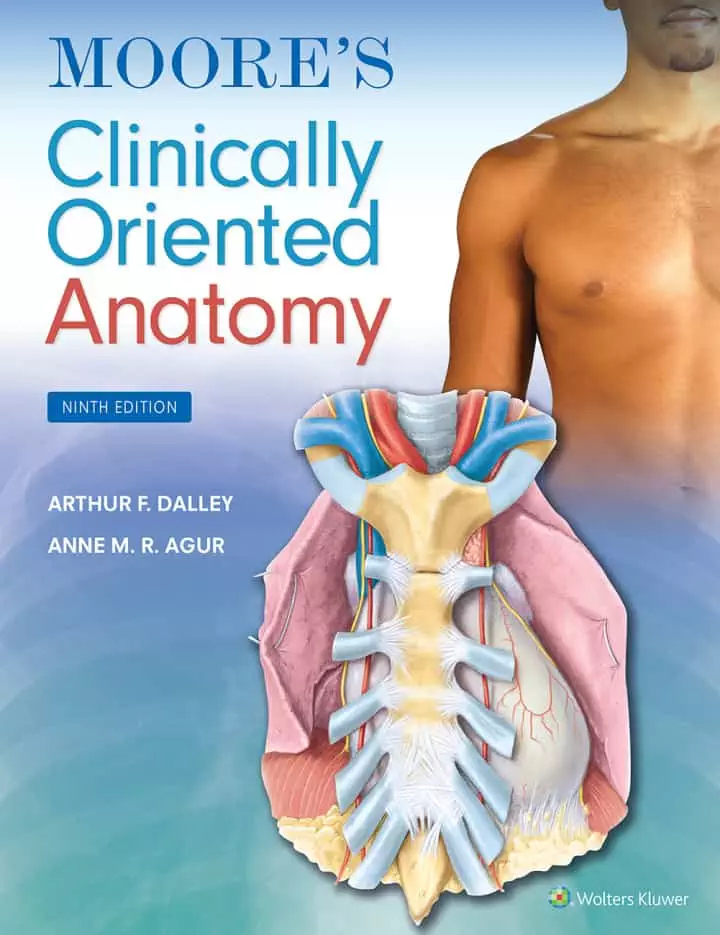 Moores-Clinically-Oriented-Anatomy-9th-Edition-pdf