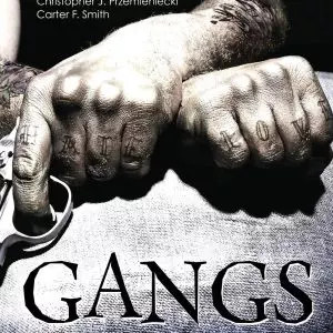 Gangs - eBook