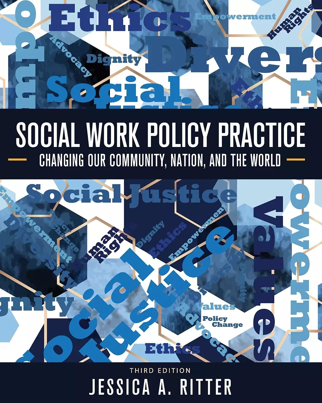 Social Work Policy Practice: Changing Our Community, Nation, and the World (3rd Edition) - eBook