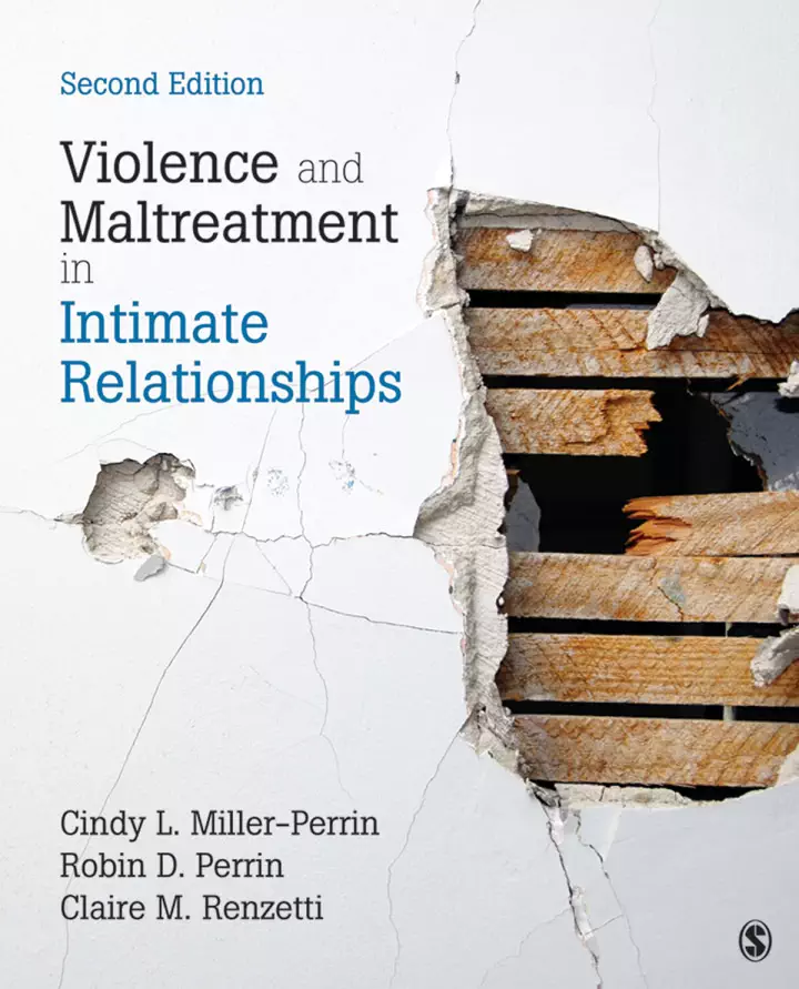 Violence and Maltreatment in Intimate Relationships (2nd Edition) - eBook