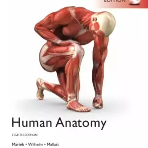 human anatomy 8e global