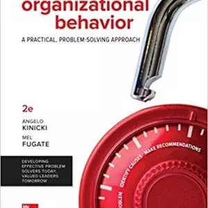 Organizational Behavior: A Practical, Problem-Solving Approach (2nd Edition) - eBook