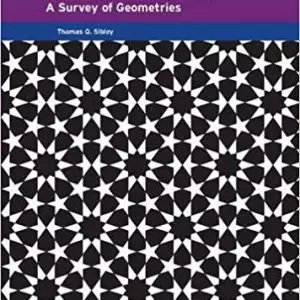 Thinking Geometrically: A Survey of Geometries - eBook