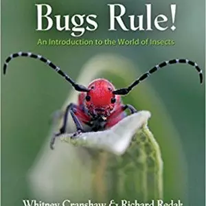 Bugs Rule!: An Introduction to the World of Insects - eBook