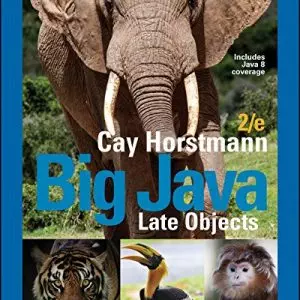 Big Java Late Objects (2nd Edition) - eBook