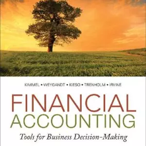 Financial Accounting: Tools for Business Decision-Making (6th Edition) - eBook