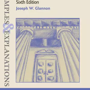 Examples and Explanations for The Law of Torts (6th Edition) - eBook